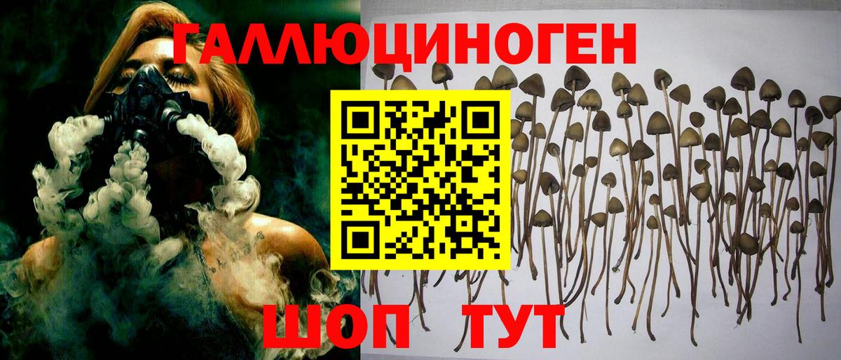 Иркутск  Галлюциногенные грибы мицелий  Вход с VPN 